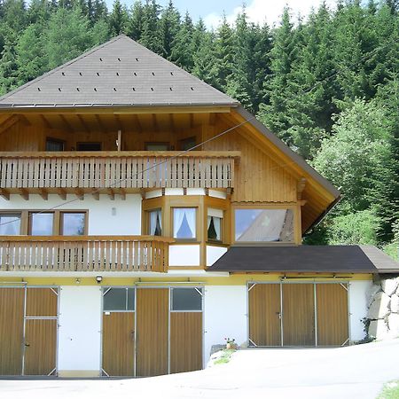 Villa Hinterhauensteinhof Hornberg Esterno foto