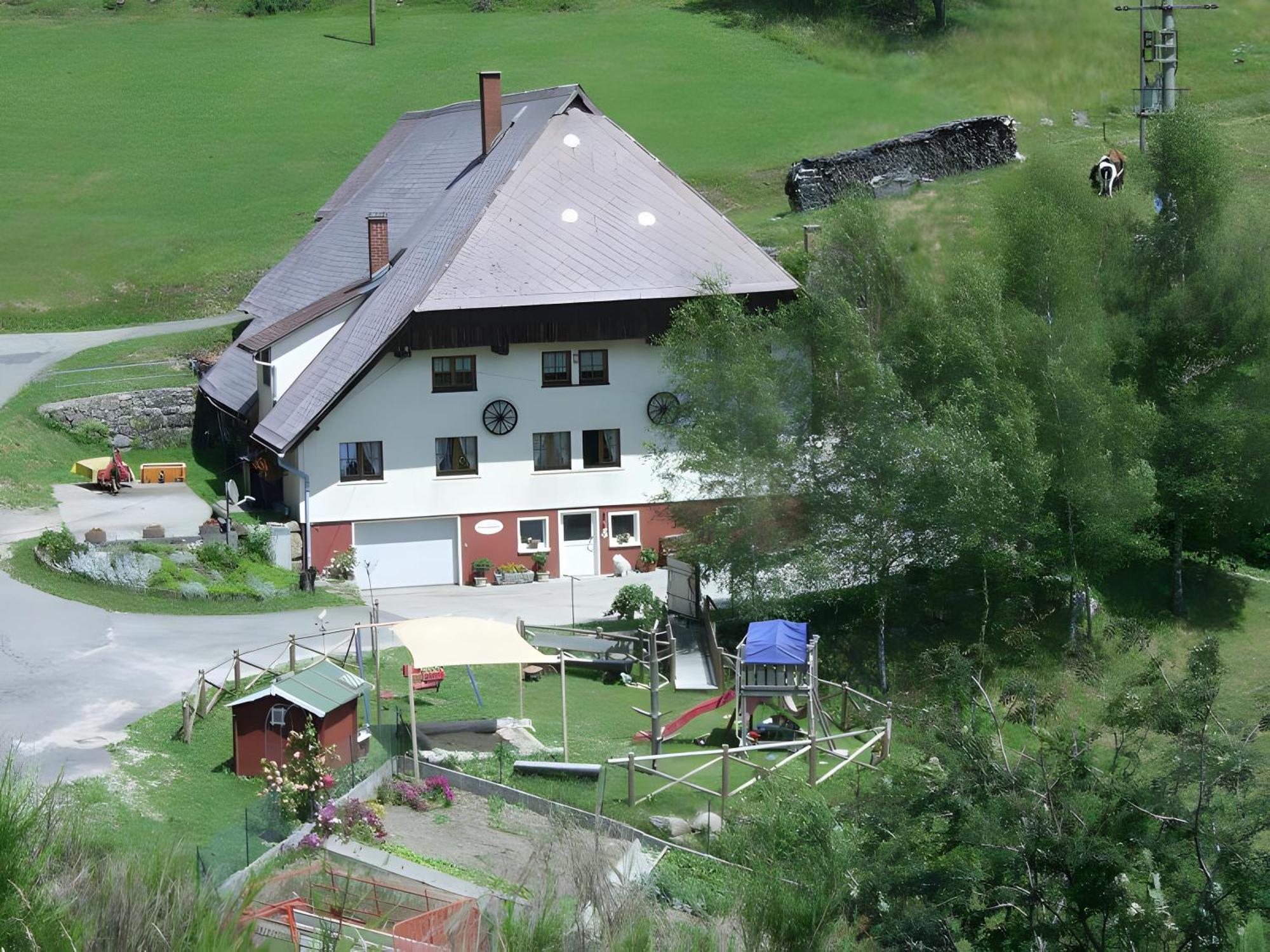 Villa Hinterhauensteinhof Hornberg Esterno foto
