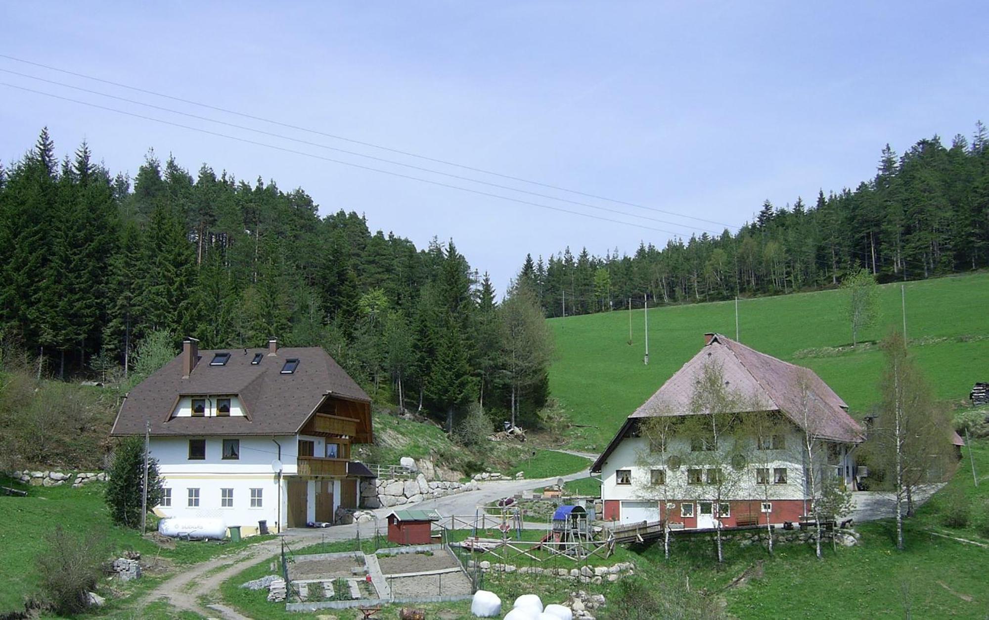 Villa Hinterhauensteinhof Hornberg Esterno foto